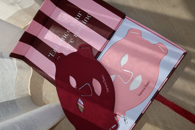 The Christmas Gift Collection (Includes Two LED Face Masks) Wholesale